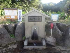 若竹の泉